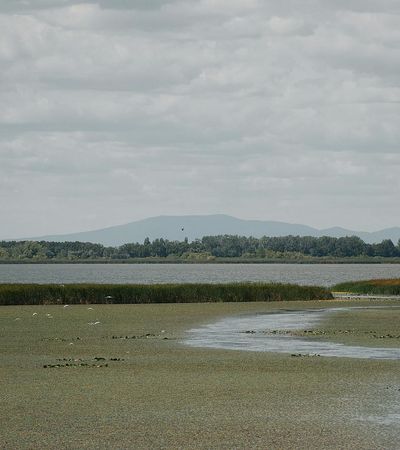A serene landscape with a calm lake and mountains.